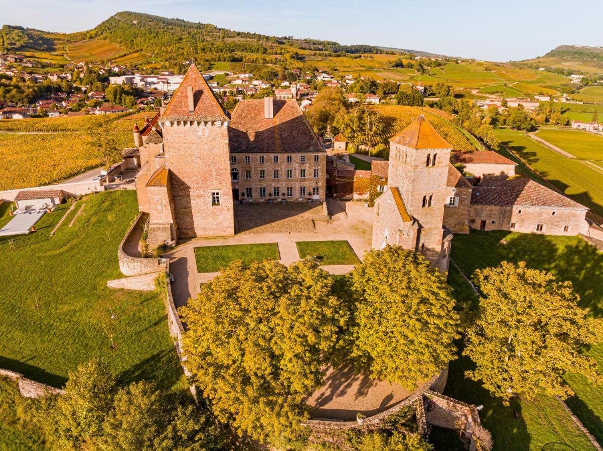 Chateau De Pierreclos Екстер'єр фото